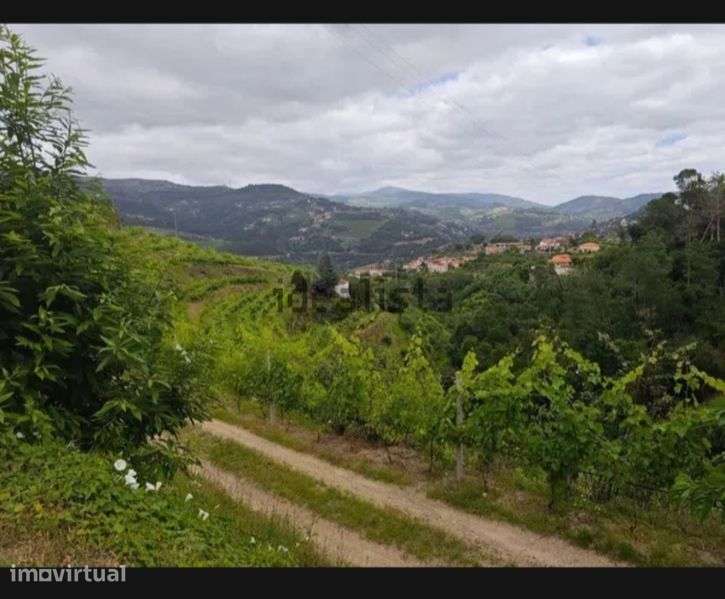 Propriedade no Douro . - Grande imagem: 5/9