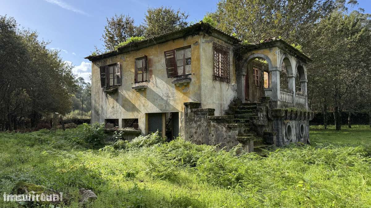 Ruína  9700m2 - vedada em pedra - Vila Cova - Grande imagem: 2/9