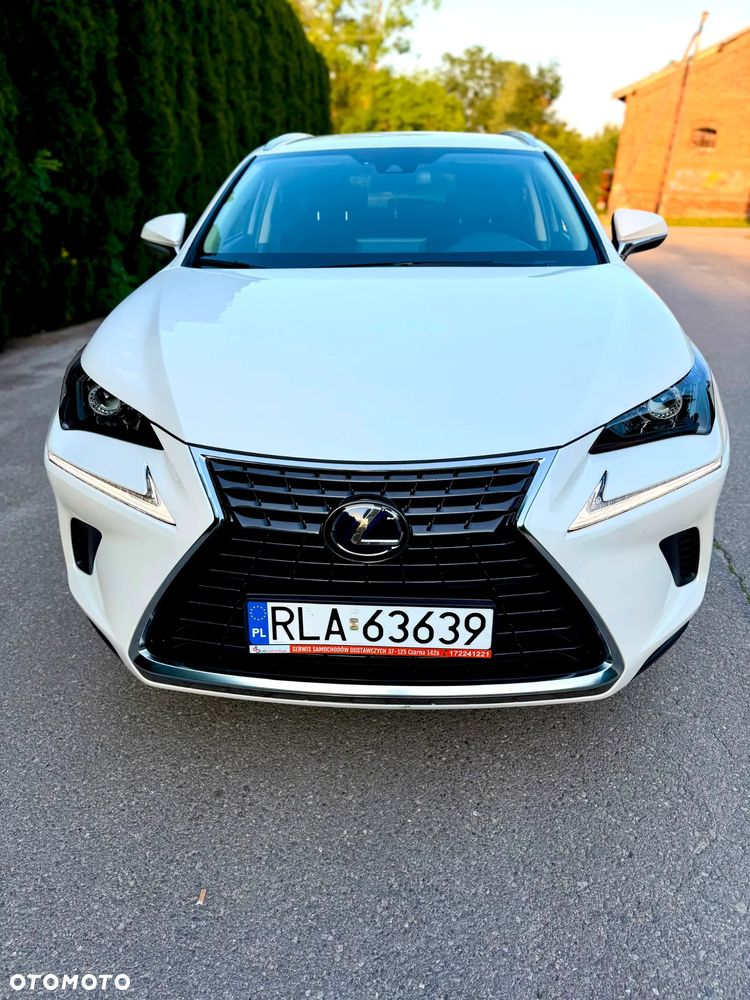 Lexus NX 300h Business Edition AWD - 24