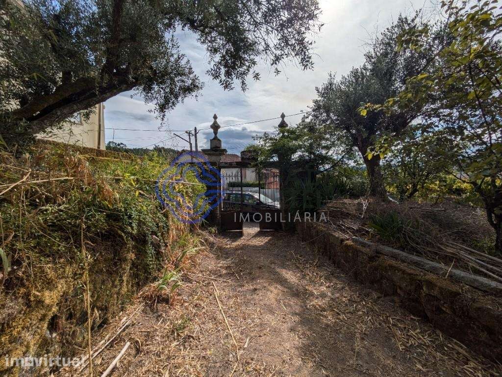 Moradia Senhorial T5+ para remodelação - Grande imagem: 5/60
