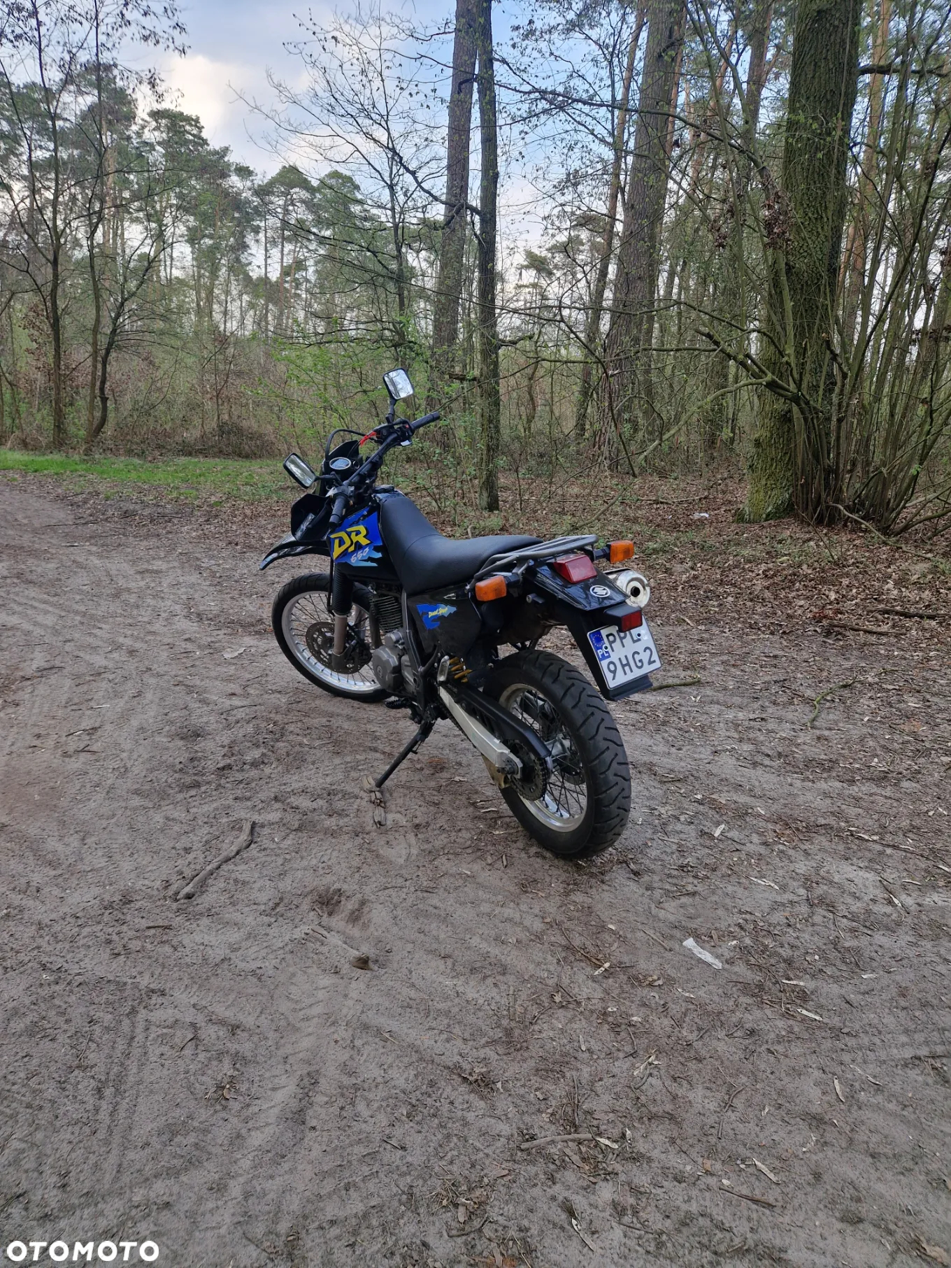 Suzuki DR
