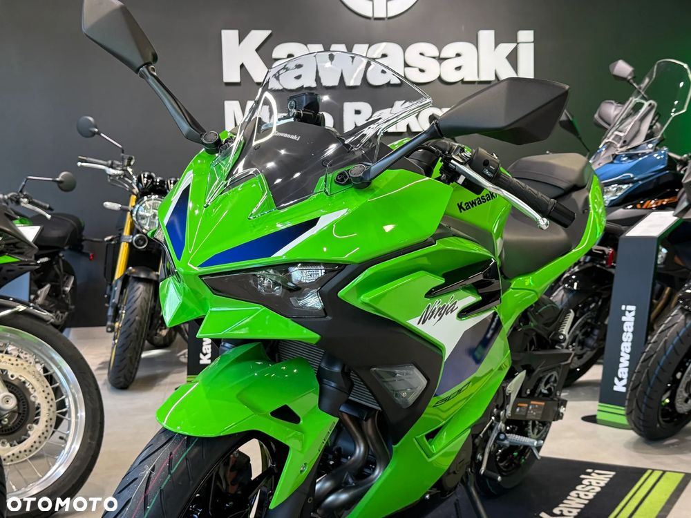 Kawasaki Ninja - 10