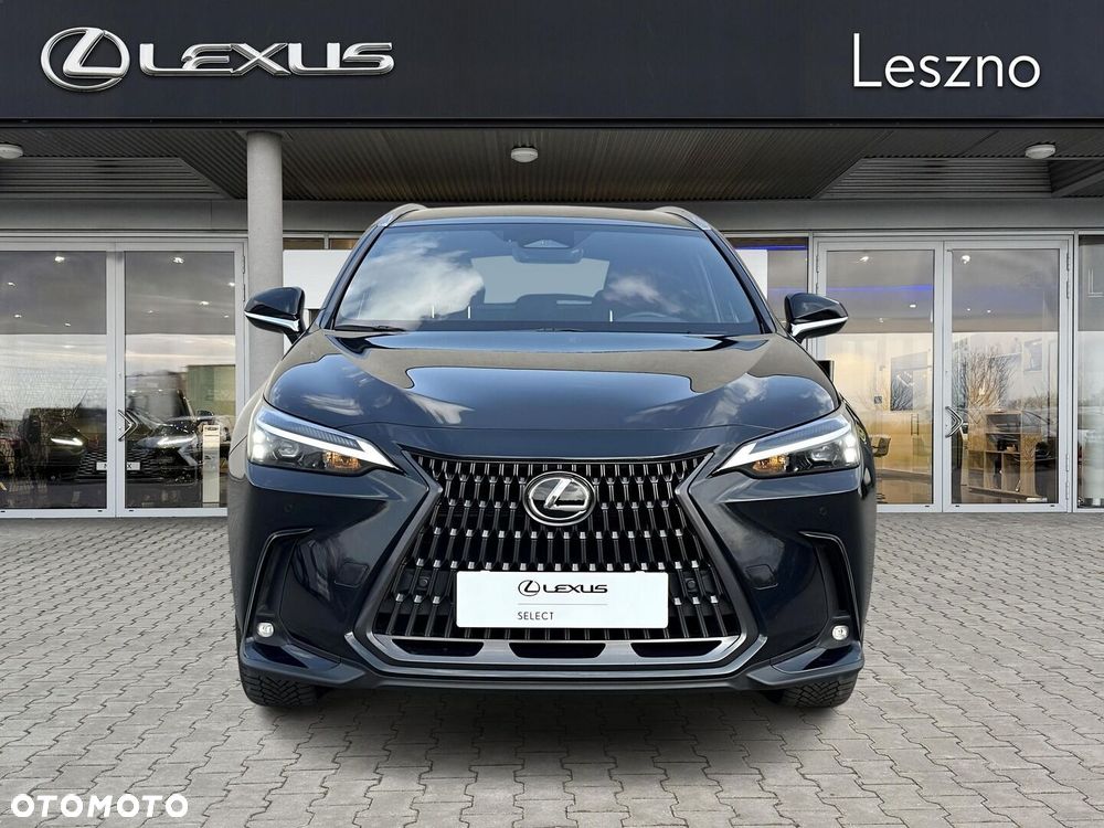 Lexus NX - 6
