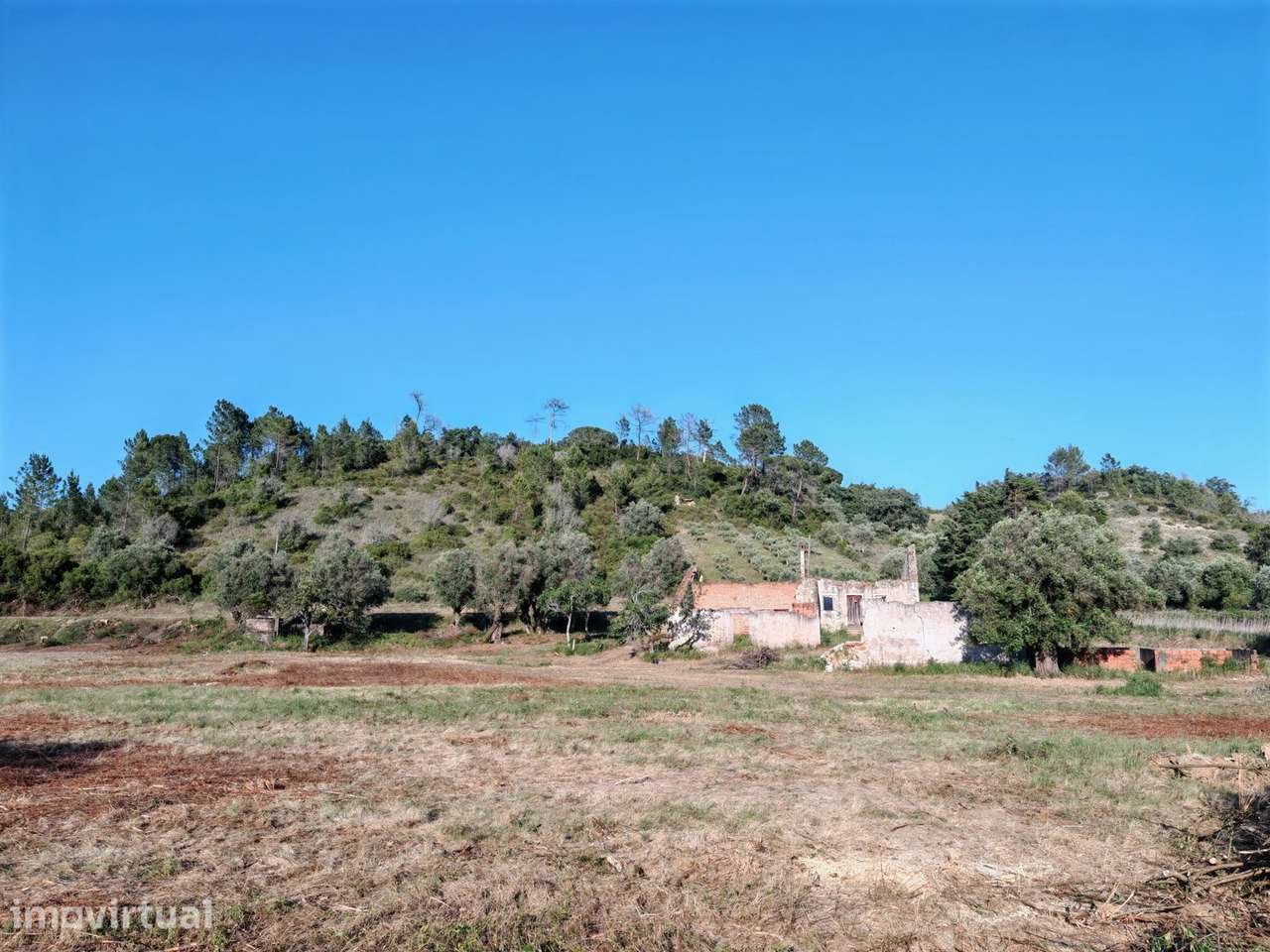 Quintinha T3 Venda em Torres Novas (São Pedro), Lapas e Ribeira Branca - Grande imagem: 5/24