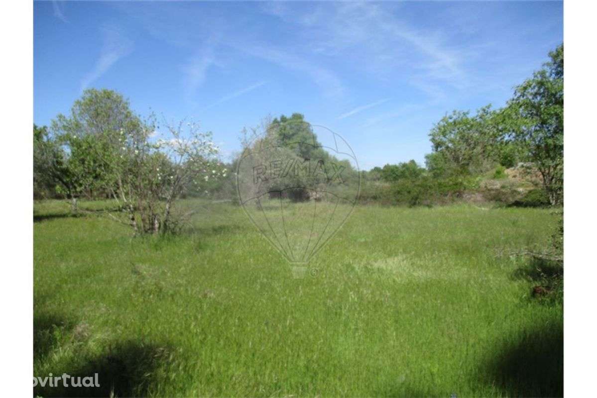 Quinta T0 para venda - Grande imagem: 4/9