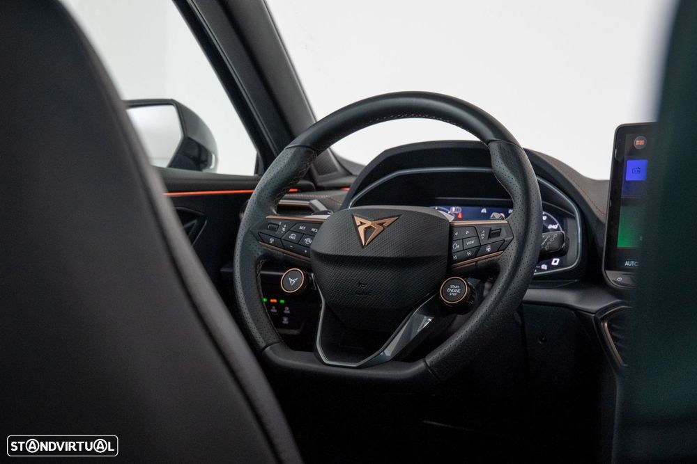 Cupra Formentor 2.0 TDI DSG - 21