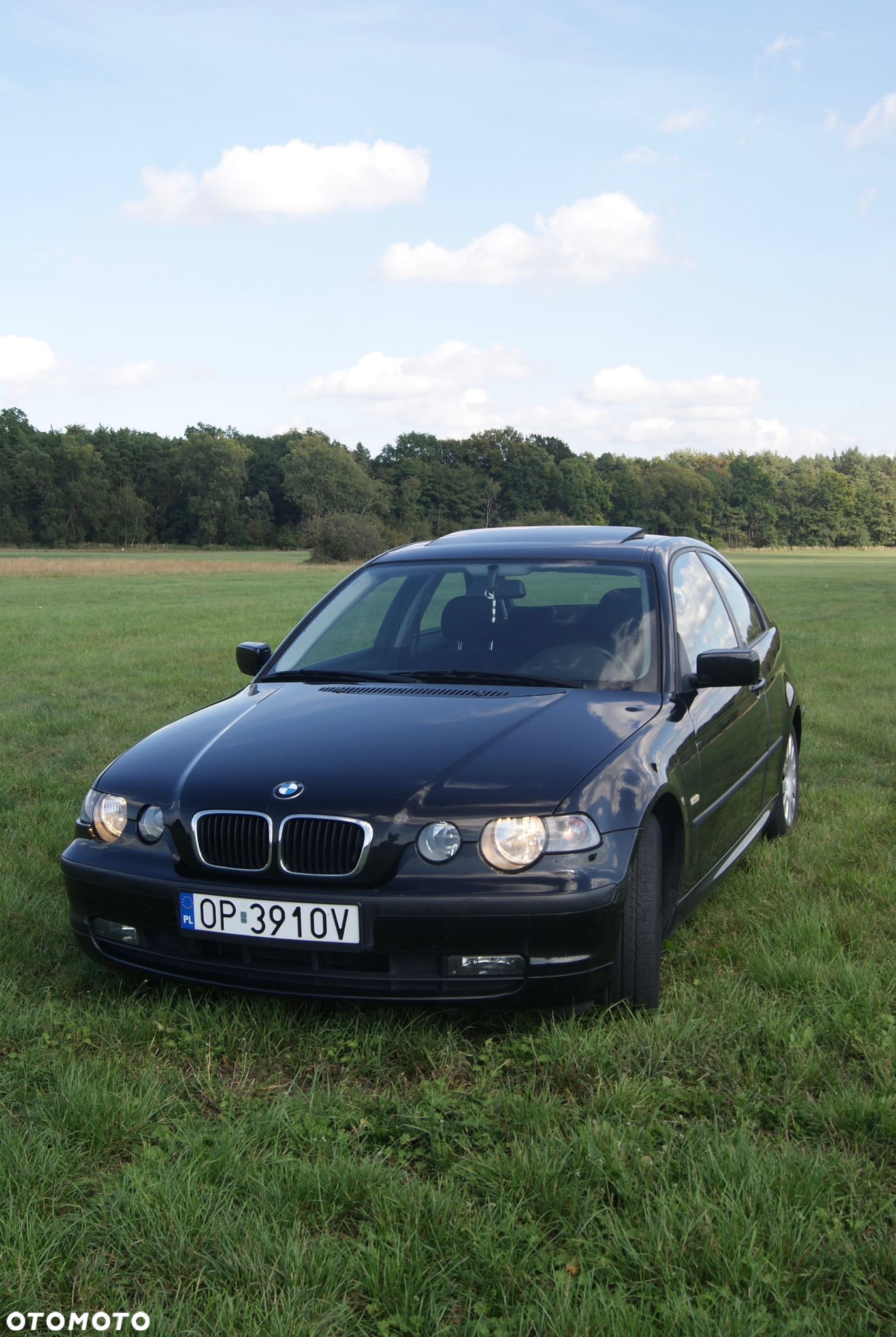 BMW Seria 3 316ti compact - 15