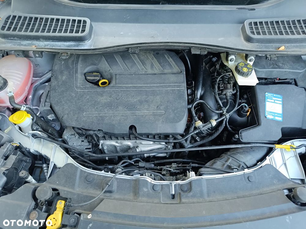 Ford Kuga 1.5 EcoBoost 4x4 Trend - 38