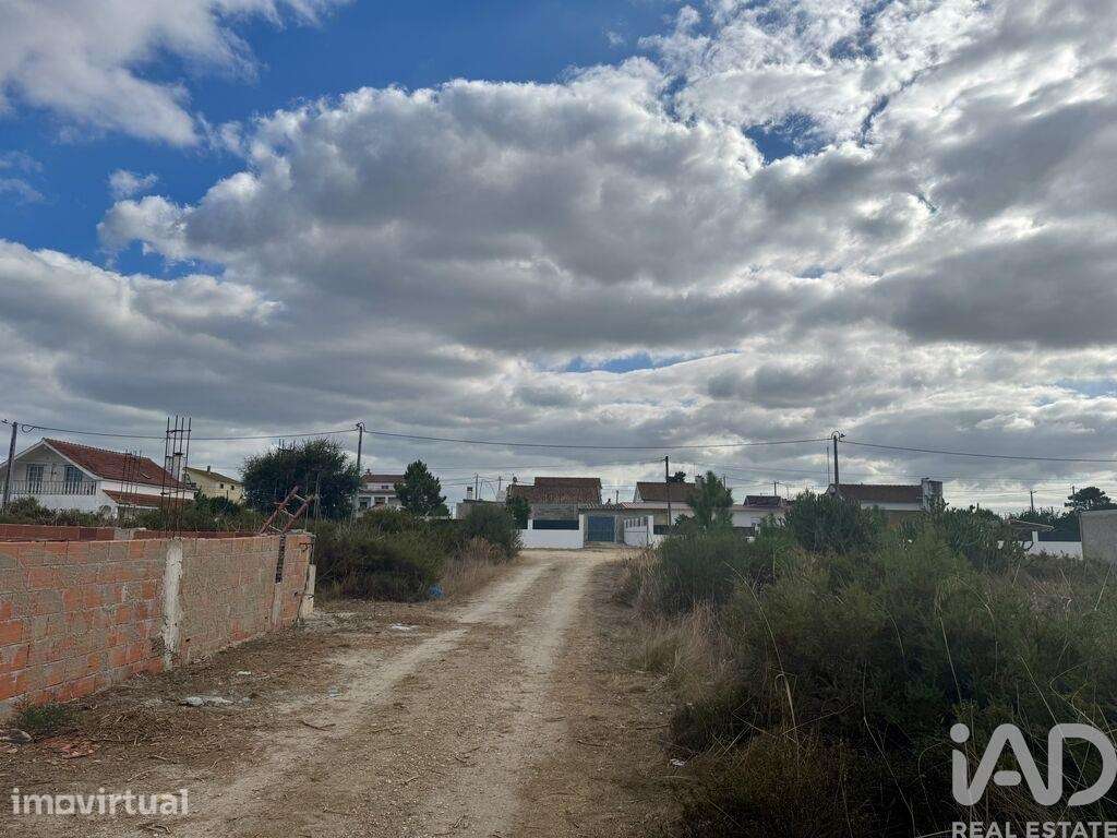 Terreno Agrícola em Quinta do Anjo - Grande imagem: 3/4