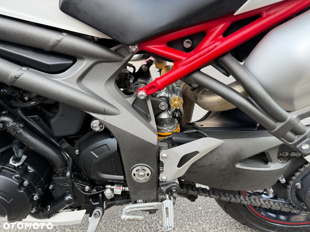 Triumph Speed Triple - 13