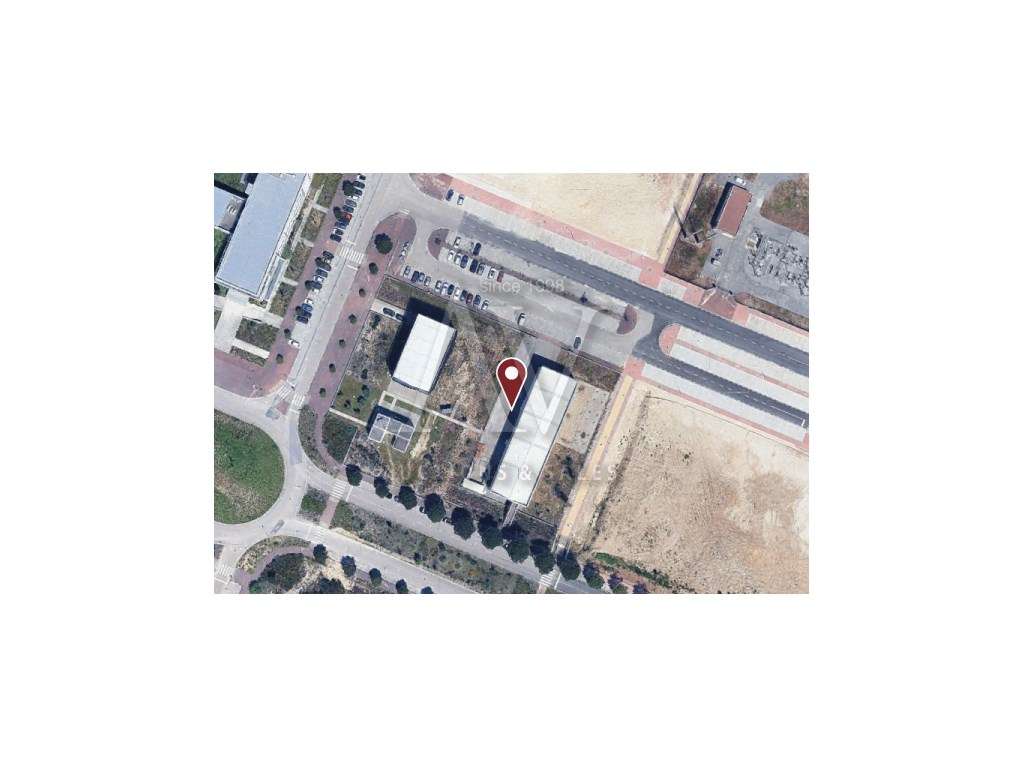 Armazém destinado a atividade industrial e logradouro - SÃO MARTINH... - View 3