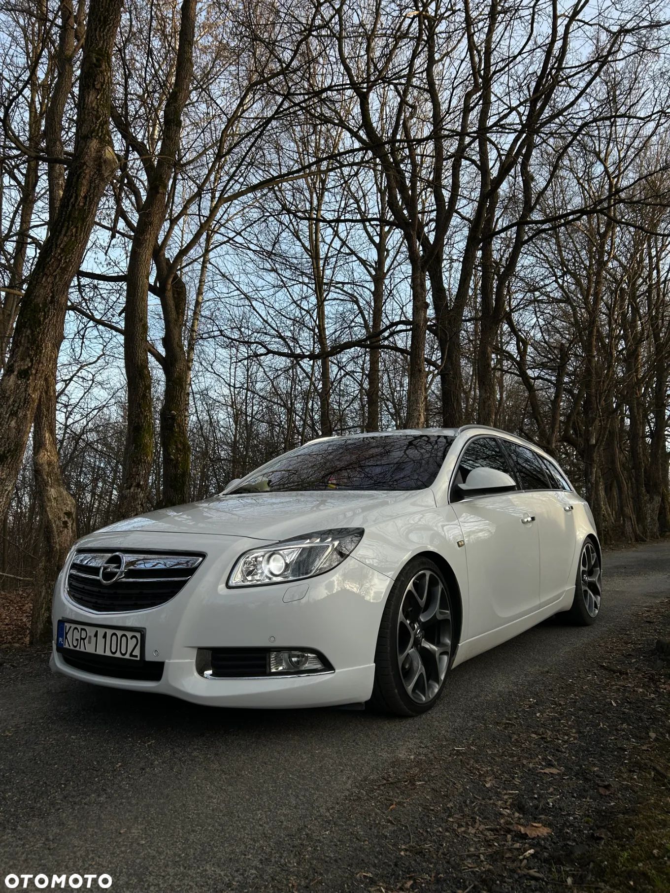 Opel Insignia 2.0 CDTI Sport - 1
