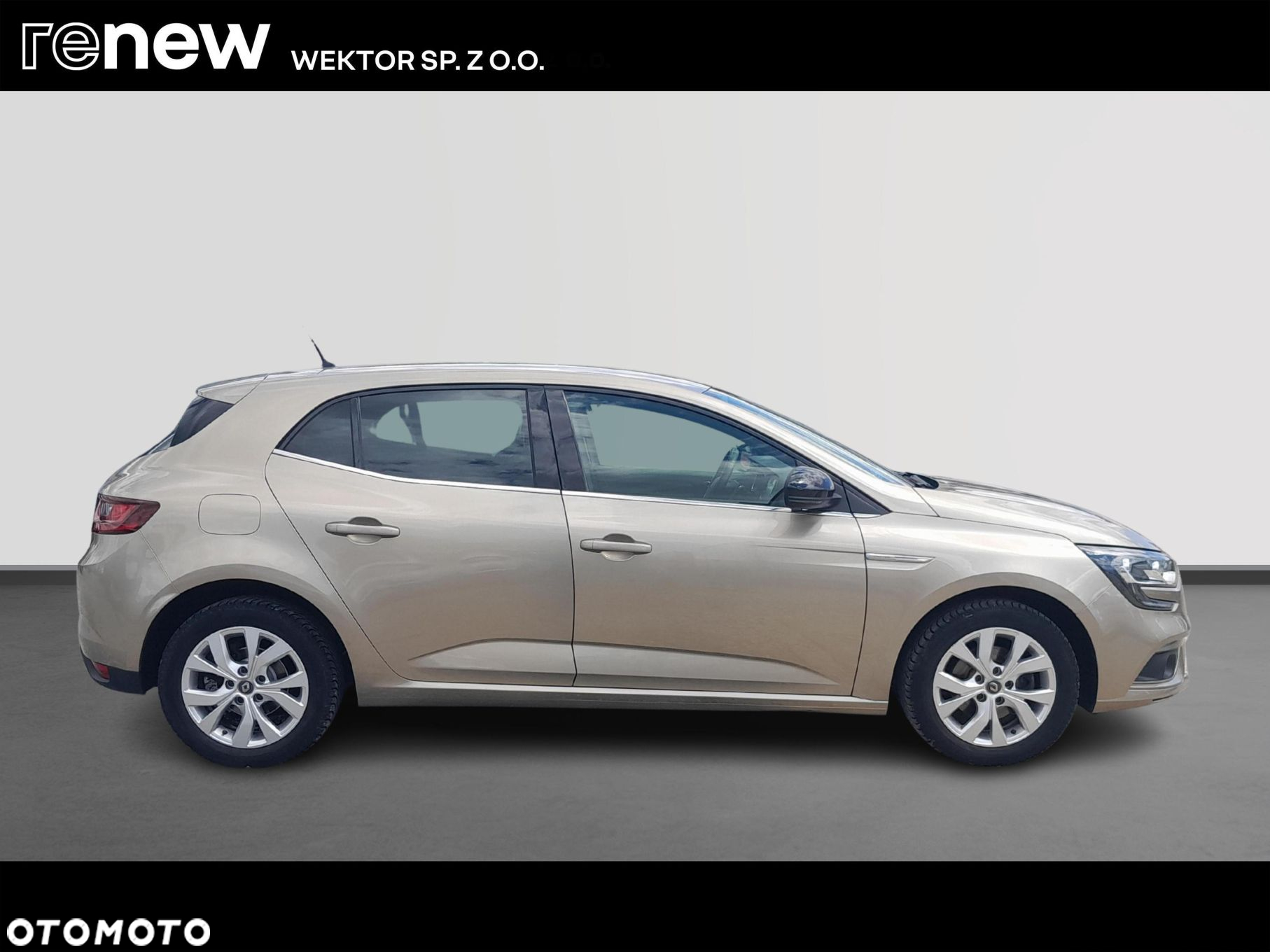 Renault Megane 1.3 TCe FAP Limited - 6