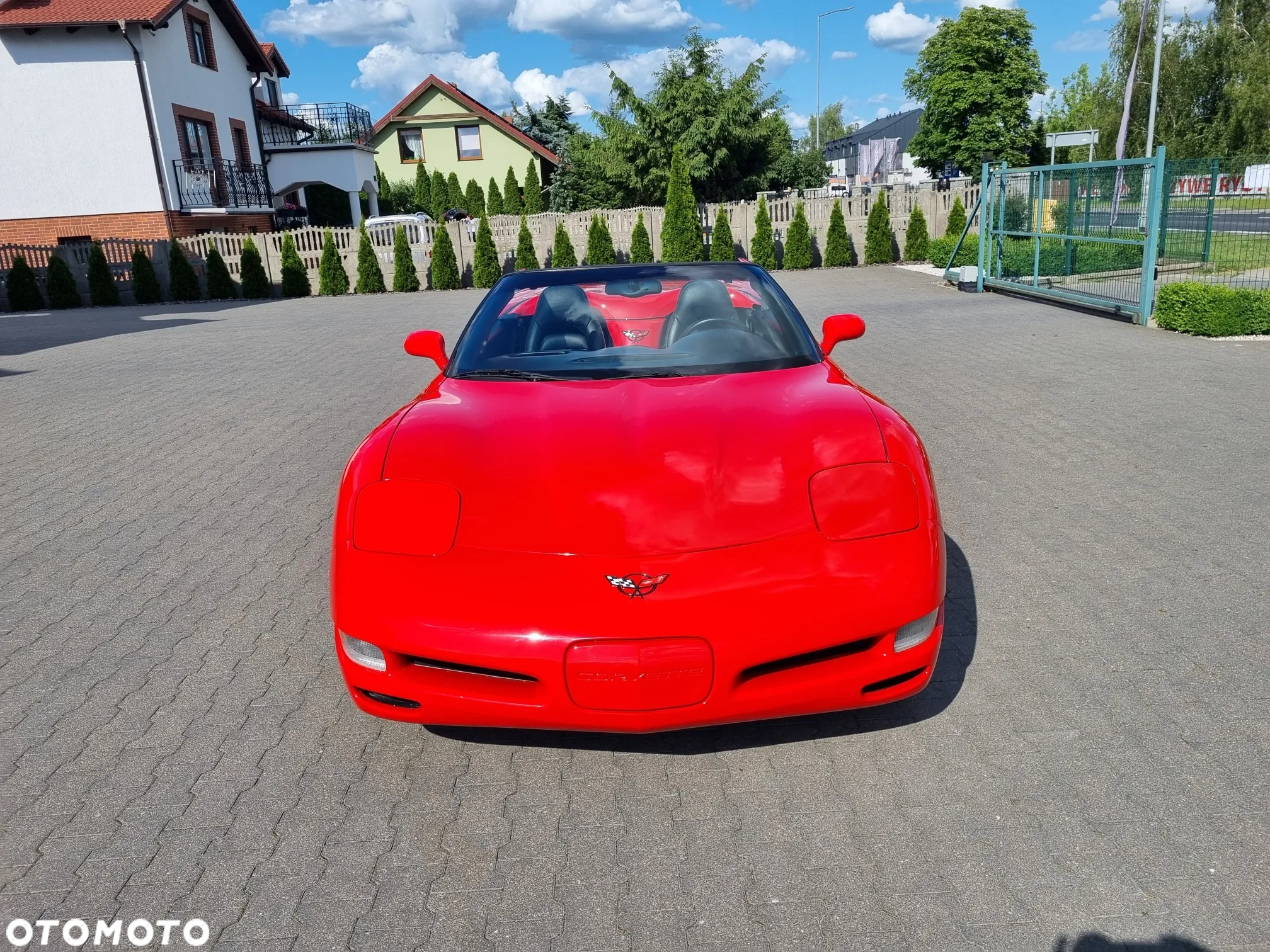 Chevrolet Corvette - 6