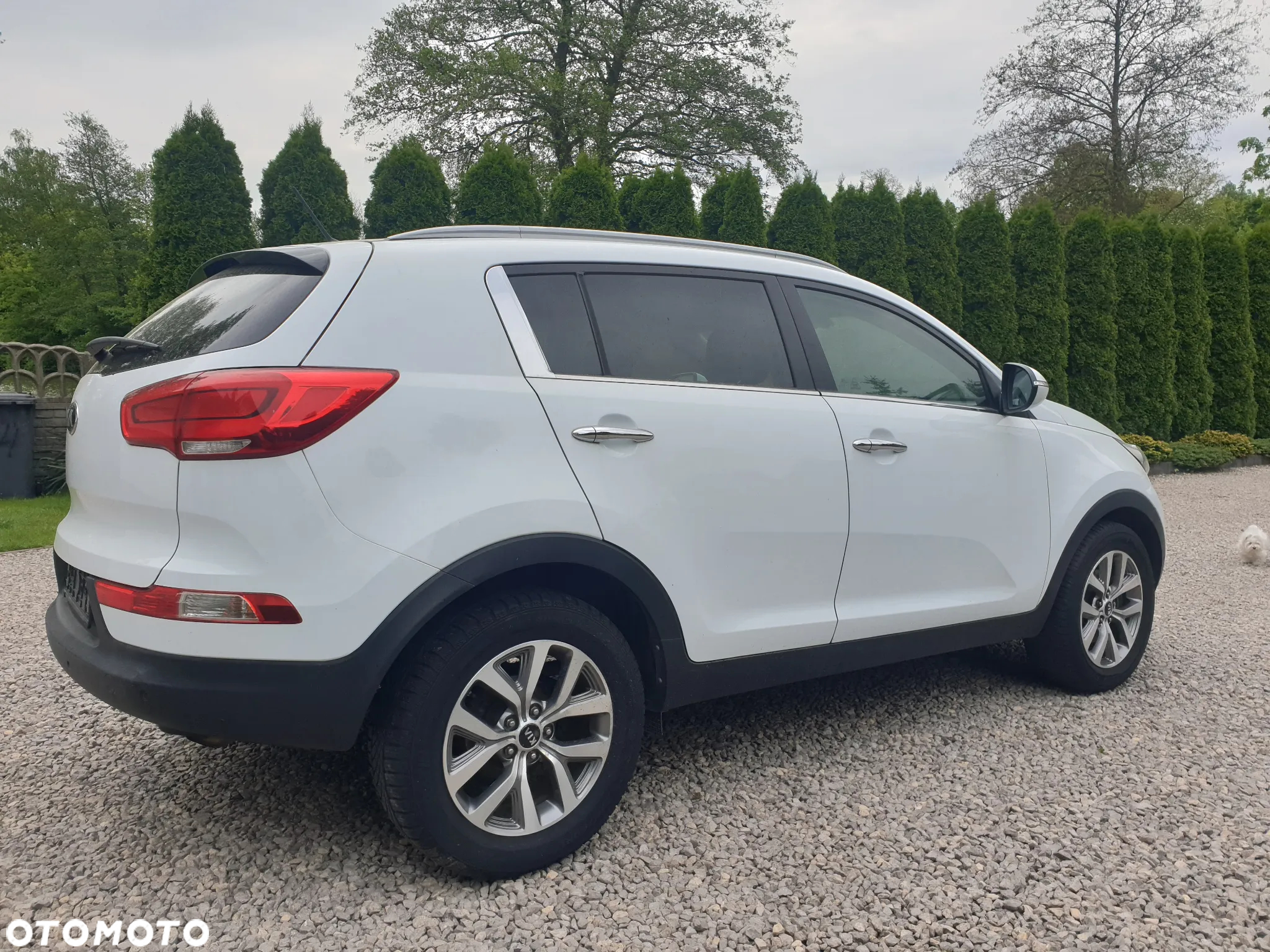 Kia Sportage 1.6 GDI Business Line M 2WD - 36