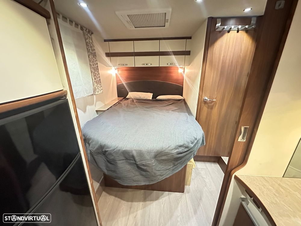 Fleurette Migrateur Mayflower 65LMX - 20