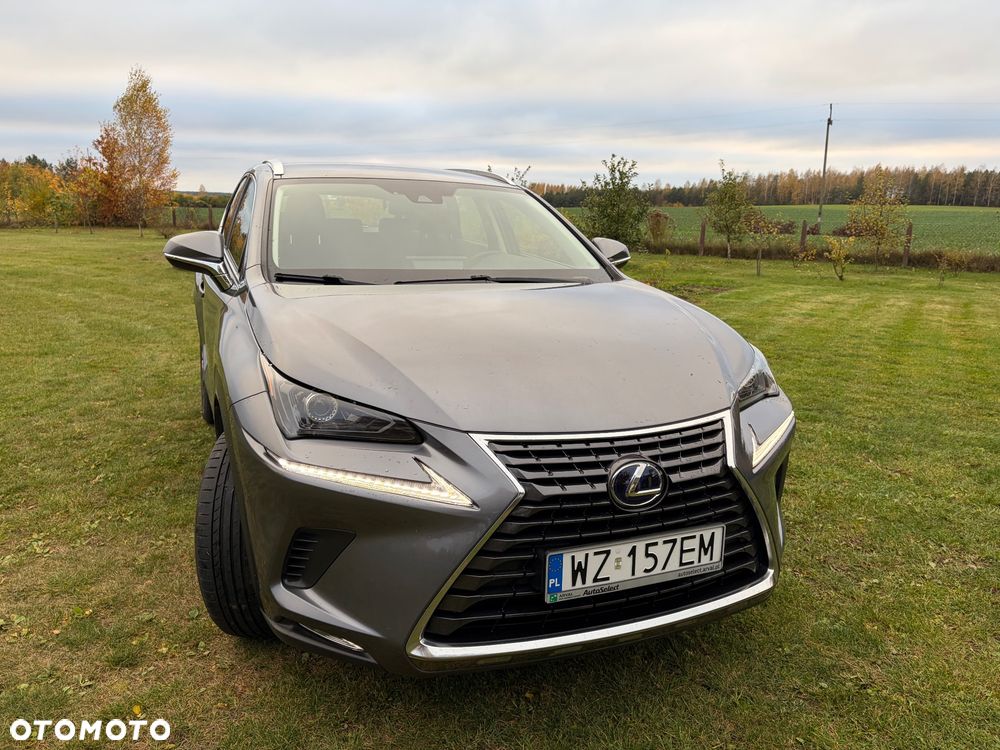 Lexus NX - 8