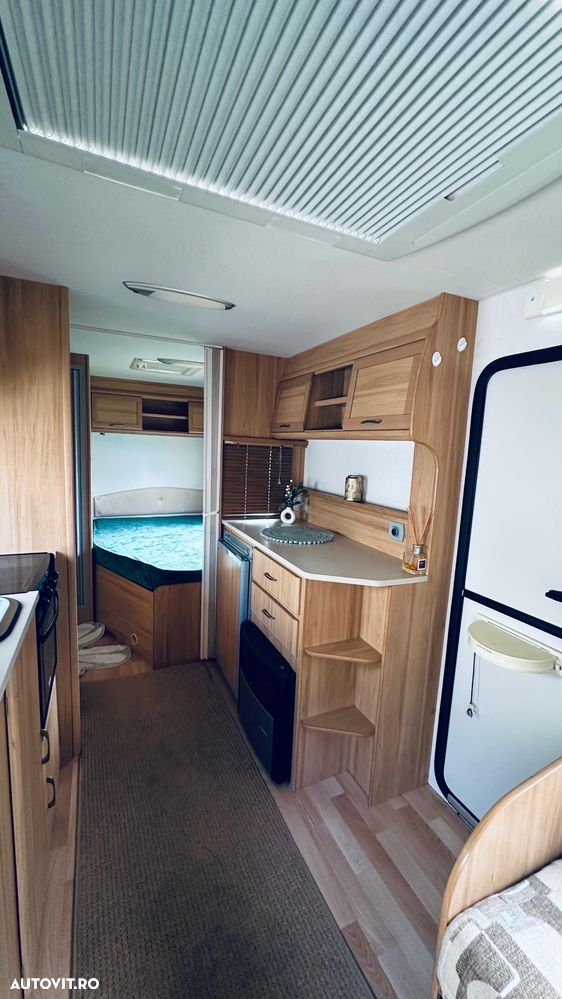 Bailey Avondale - 17