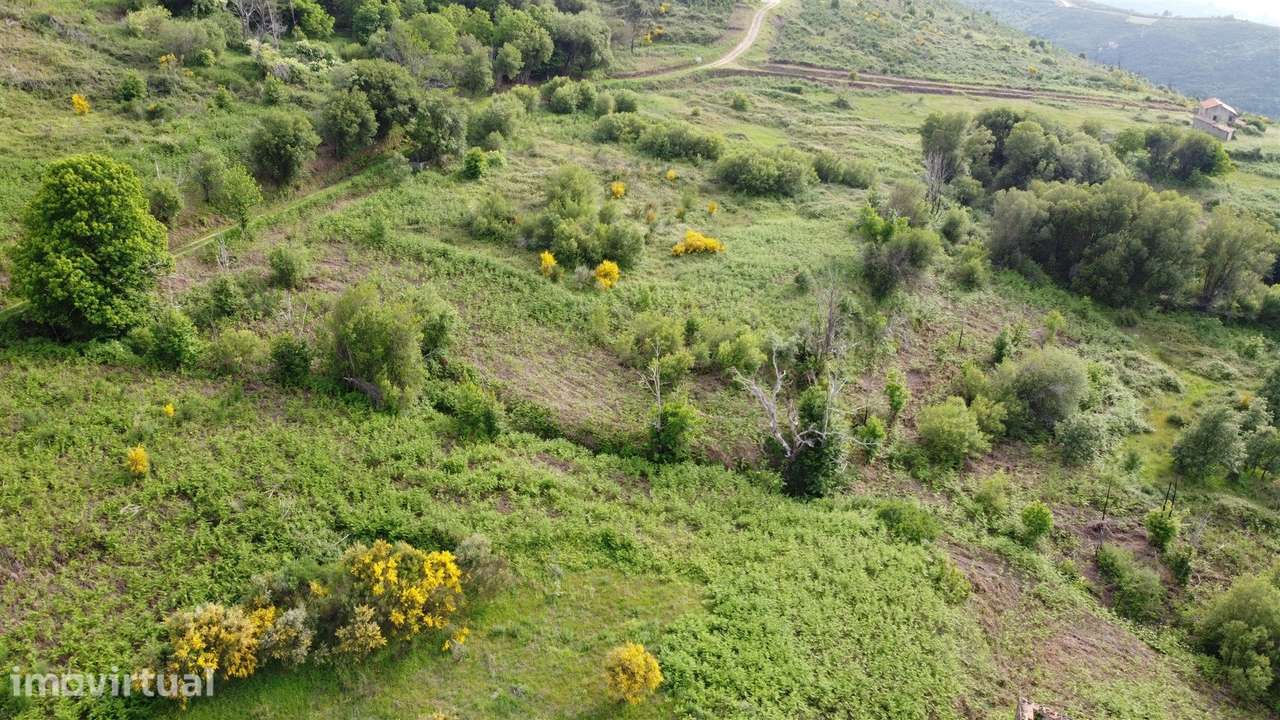 Quinta T0 Venda em Figueiró da Serra e Freixo da Serra,Gouveia - Grande imagem: 4/9