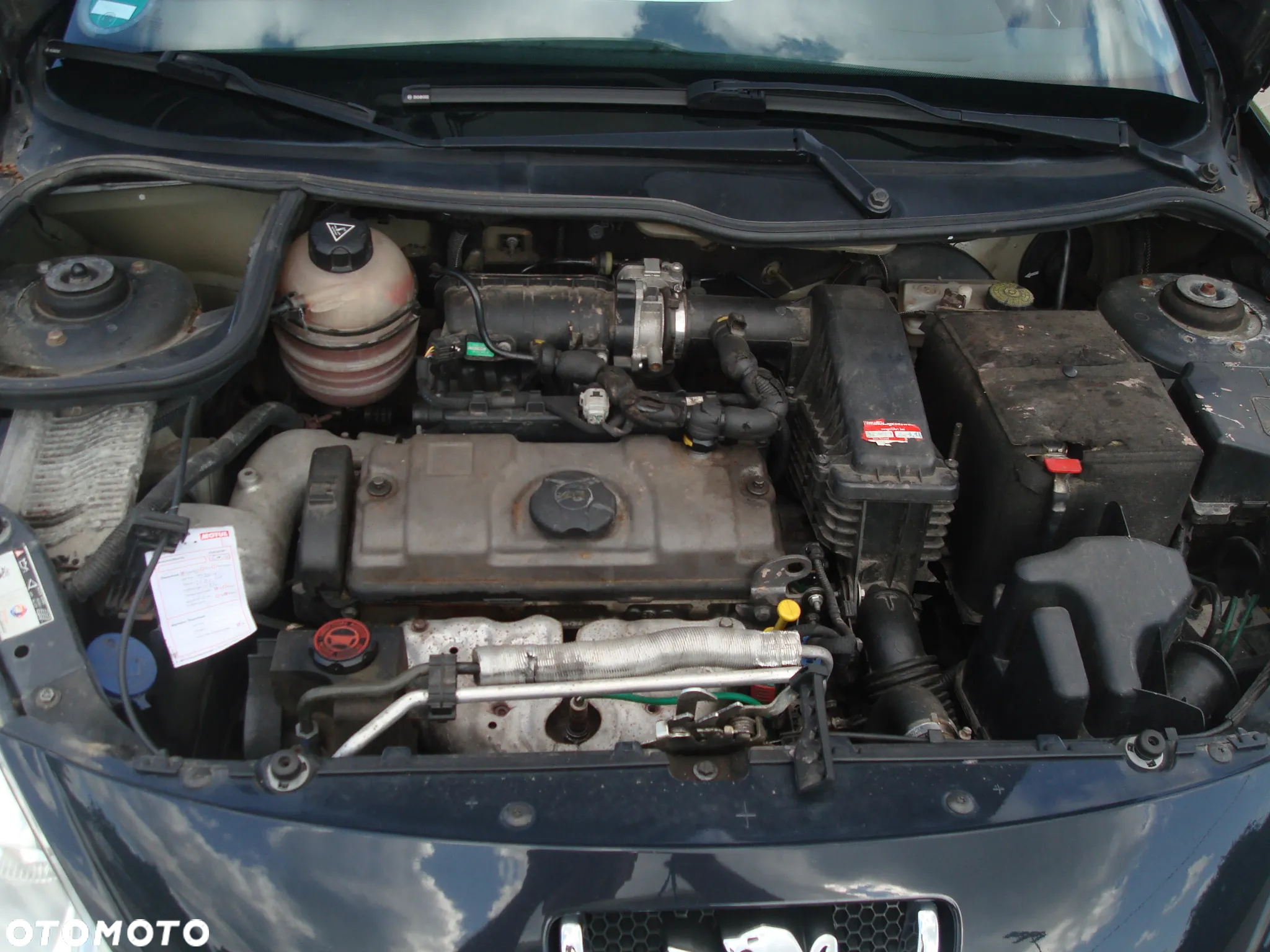 Peugeot 206 plus 206+ 75 Street Racing - 24