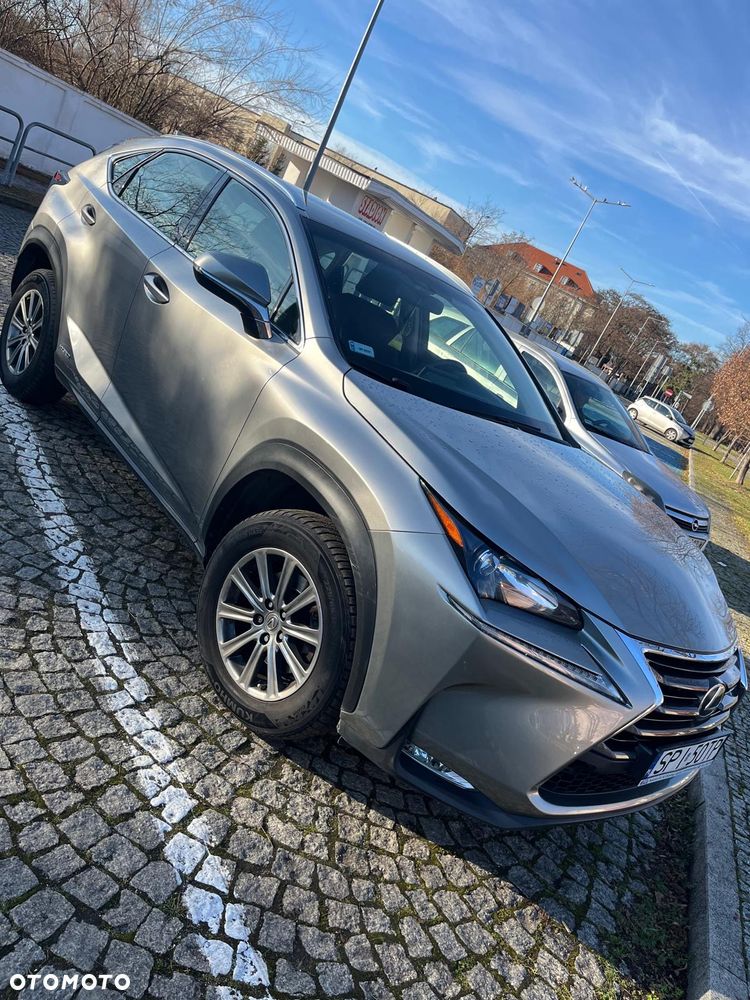Lexus NX 300h Elite AWD - 6