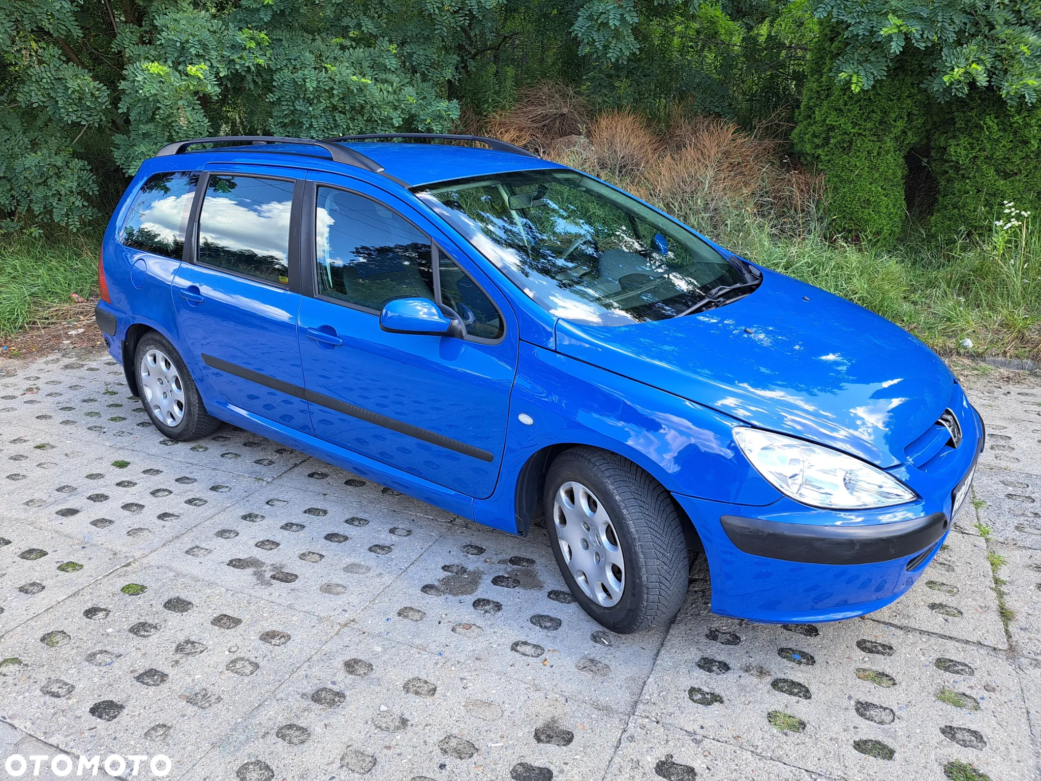 Peugeot 307 - 31