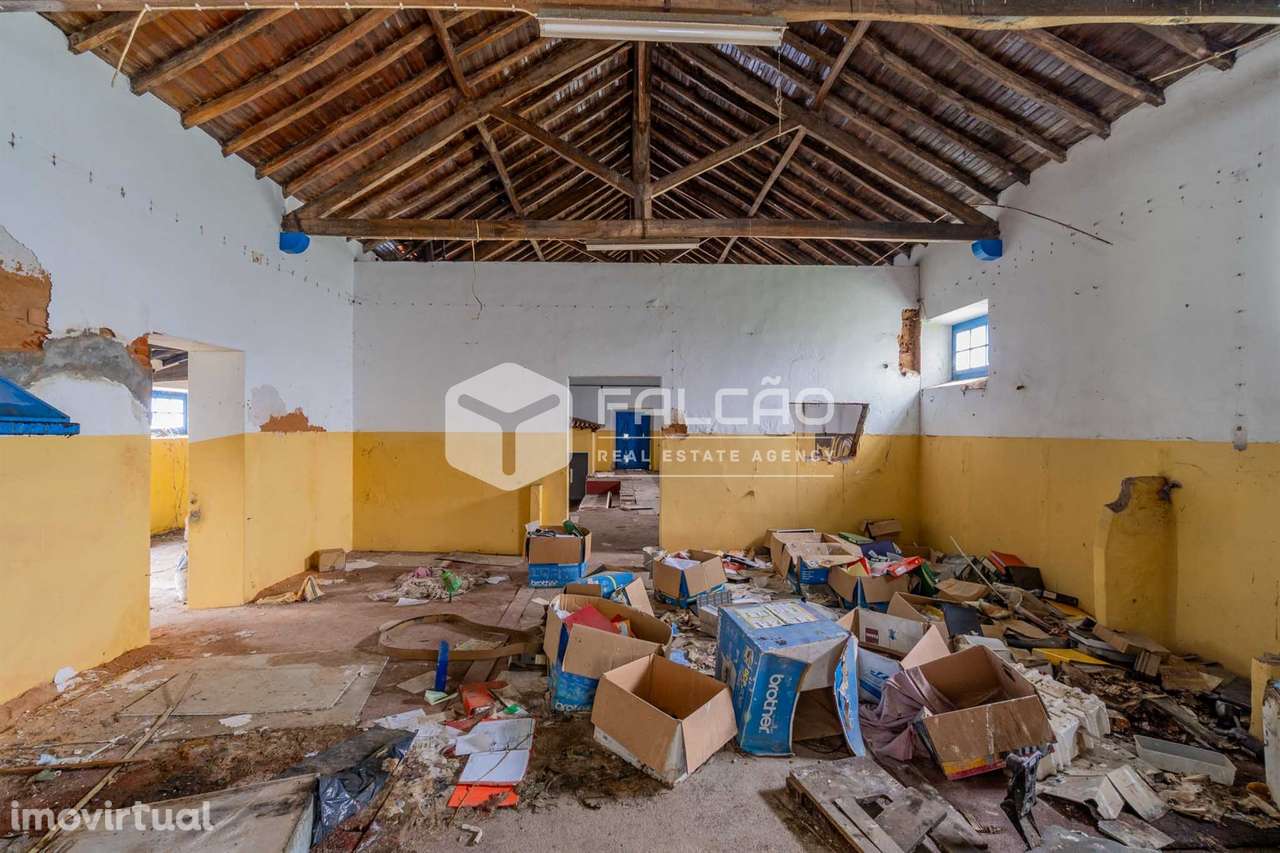 Fábrica/Indústria  Venda em Olaia e Paço,Torres Novas - Grande imagem: 4/32