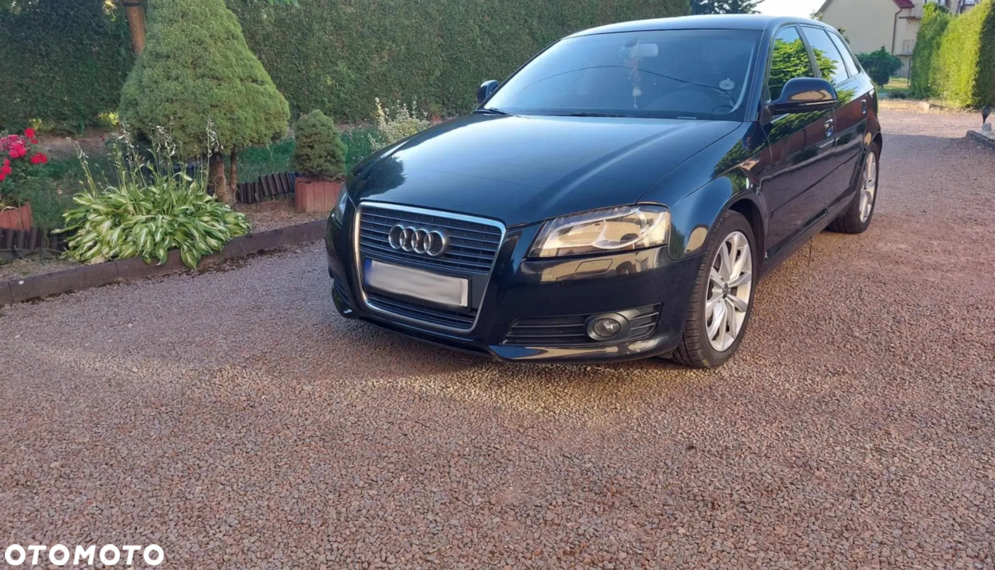 Audi A3 1.6 TDI Ambition - 2