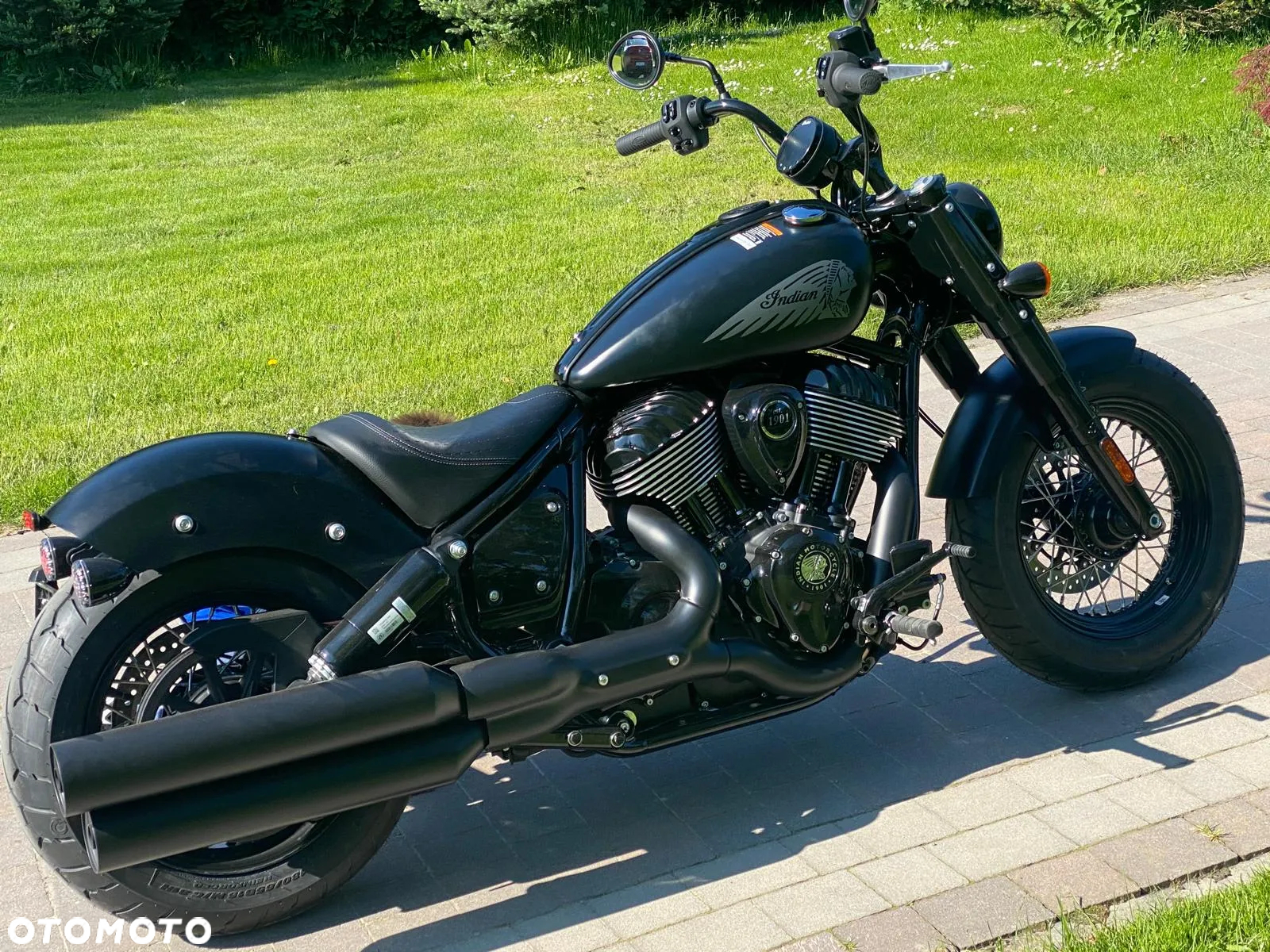 Indian Chief - 37