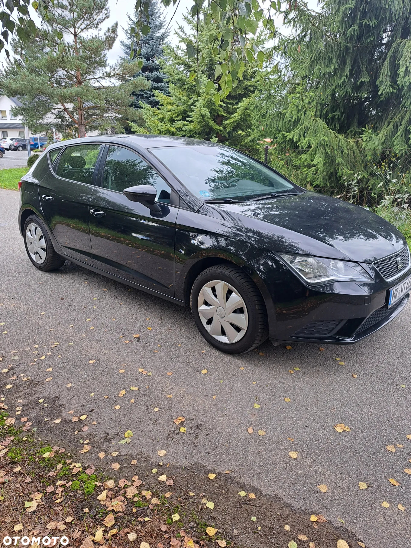 Seat Leon - 4