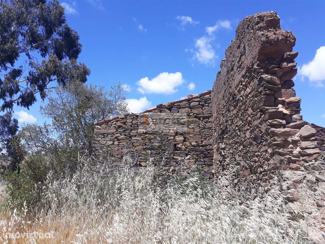 Quintinha T1 Venda em Ourique,Ourique - Grande imagem: 3/12