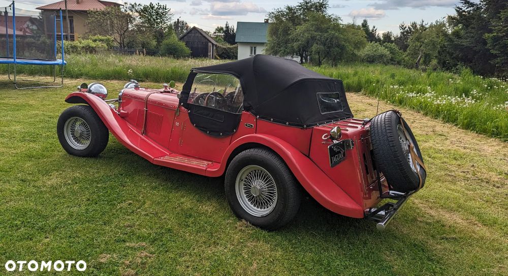 Jaguar Inny - 10