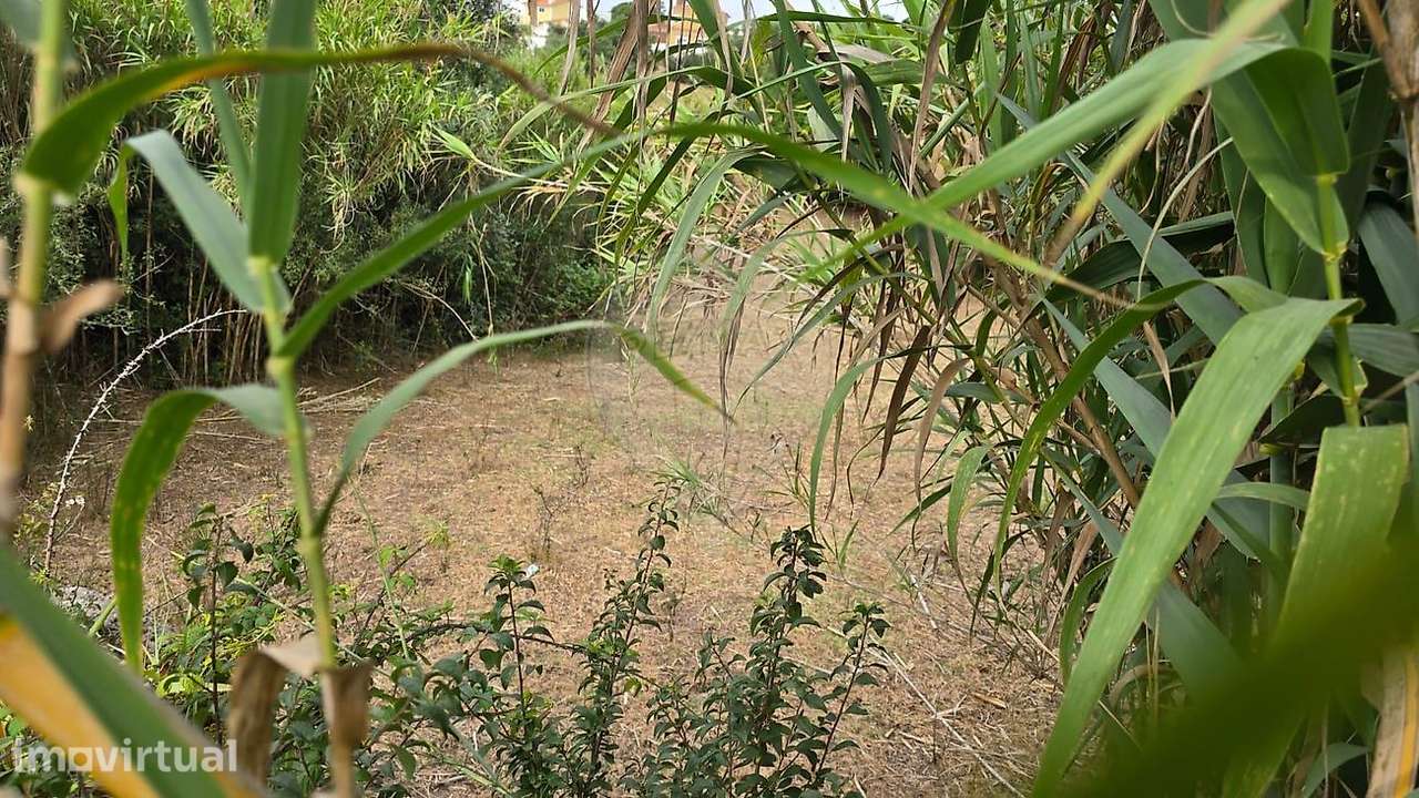 Terreno  para venda - Grande imagem: 4/8