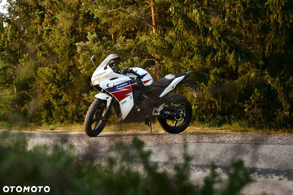 Honda CBR - 15
