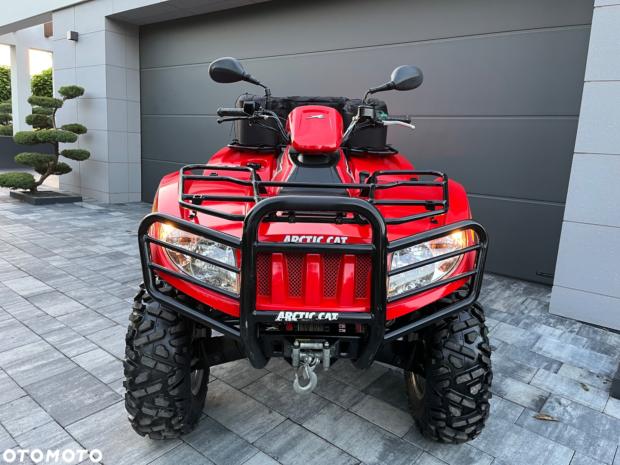 Arctic Cat Inny
