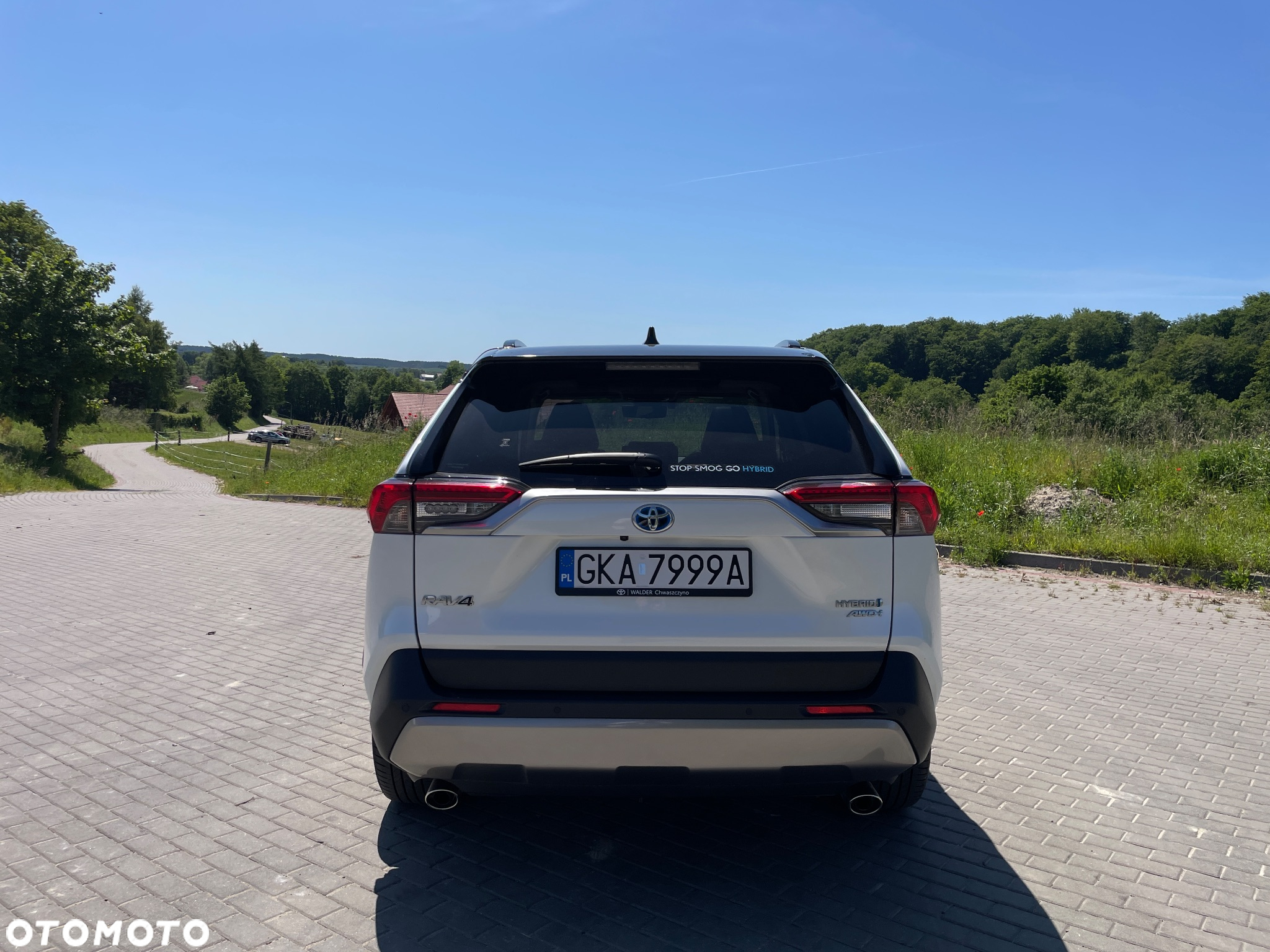 Toyota RAV4 2.5 Hybrid Executive 4x4 - 4