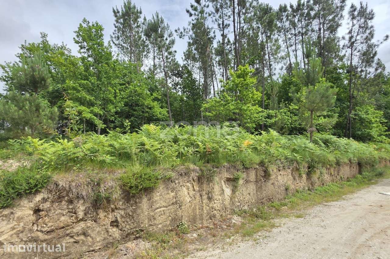 Terreno para construção moradia - Grande imagem: 4/15