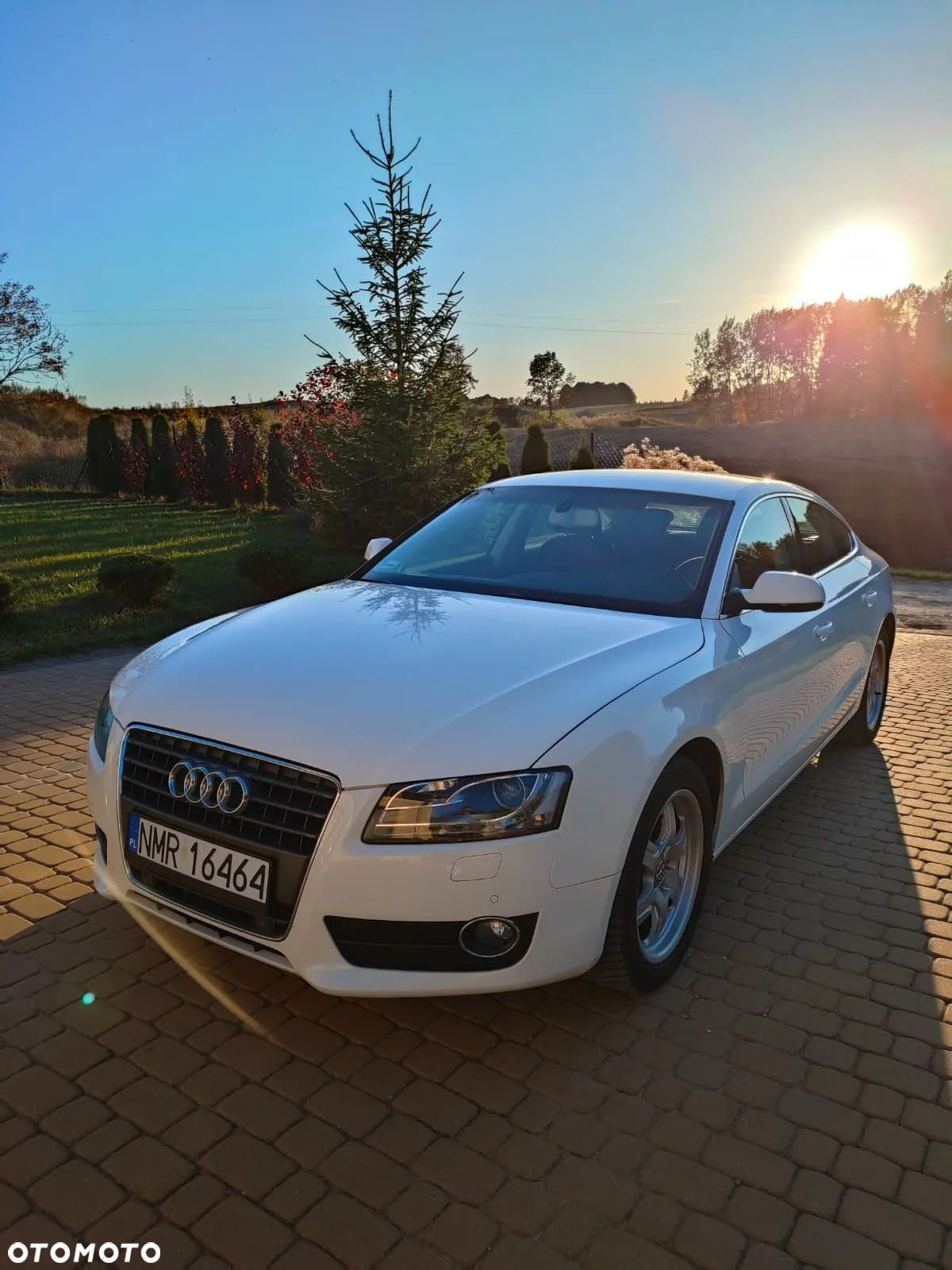 Audi A5 - 17