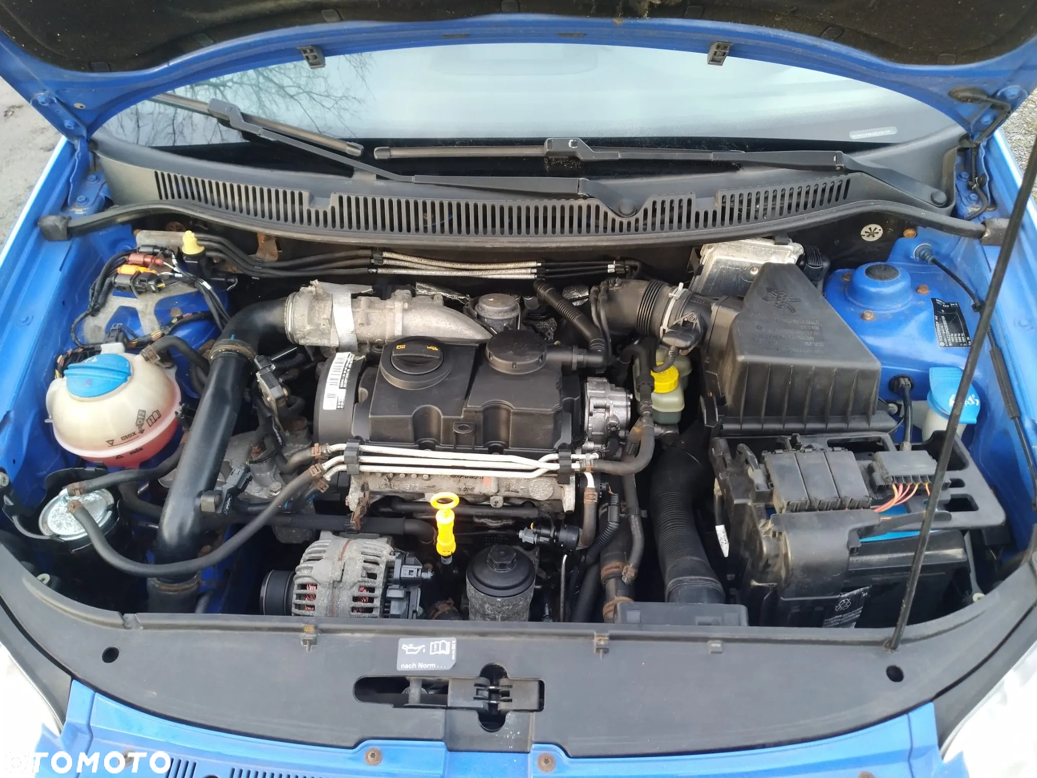 Volkswagen Polo - 15