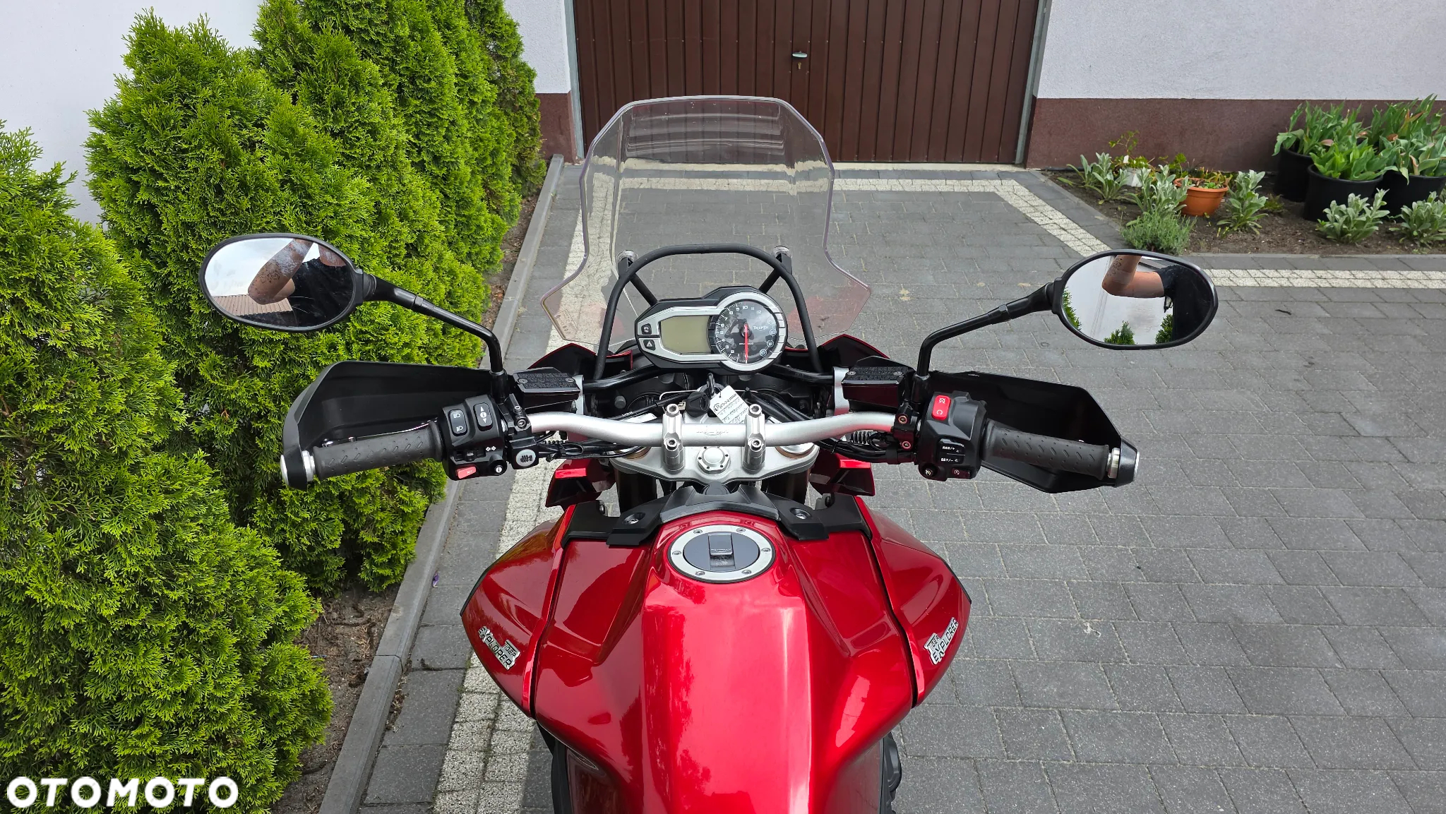 Triumph Tiger - 17
