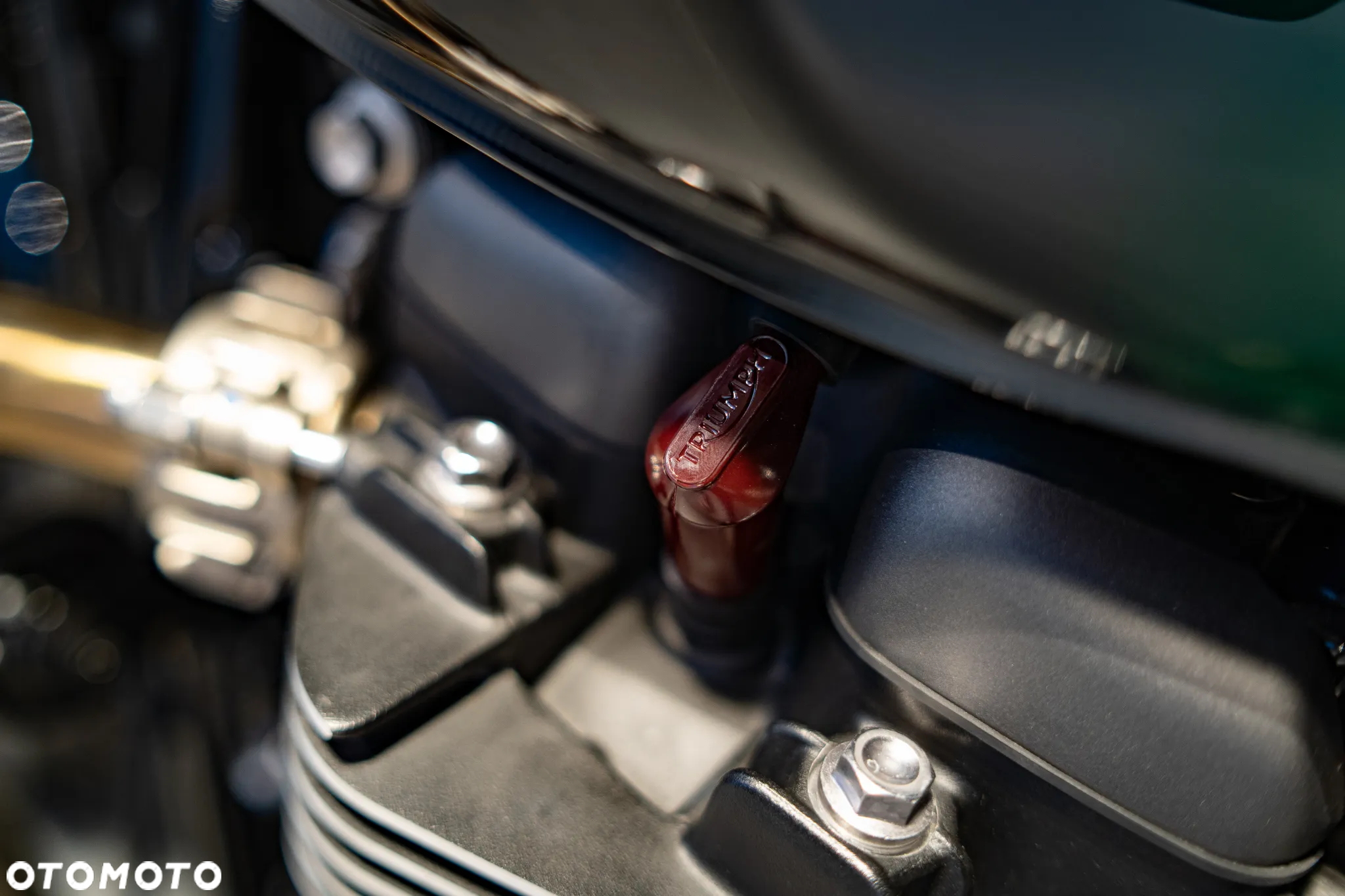 Triumph Speed Twin - 30
