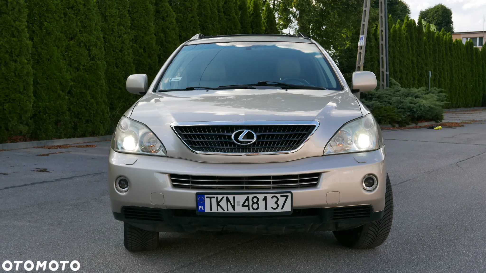Lexus RX - 3