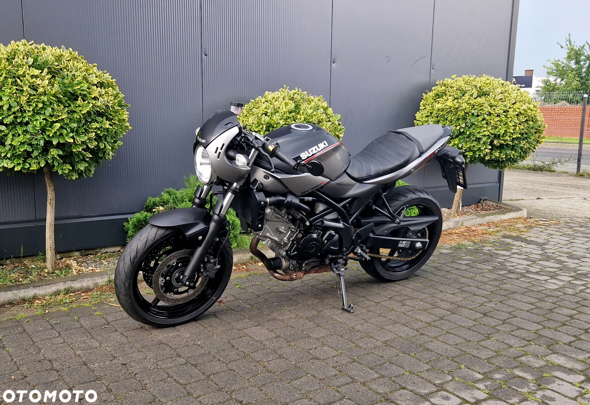Suzuki SV - 5