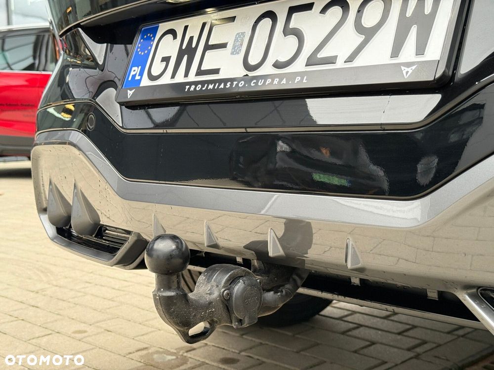 Cupra Terramar - 12