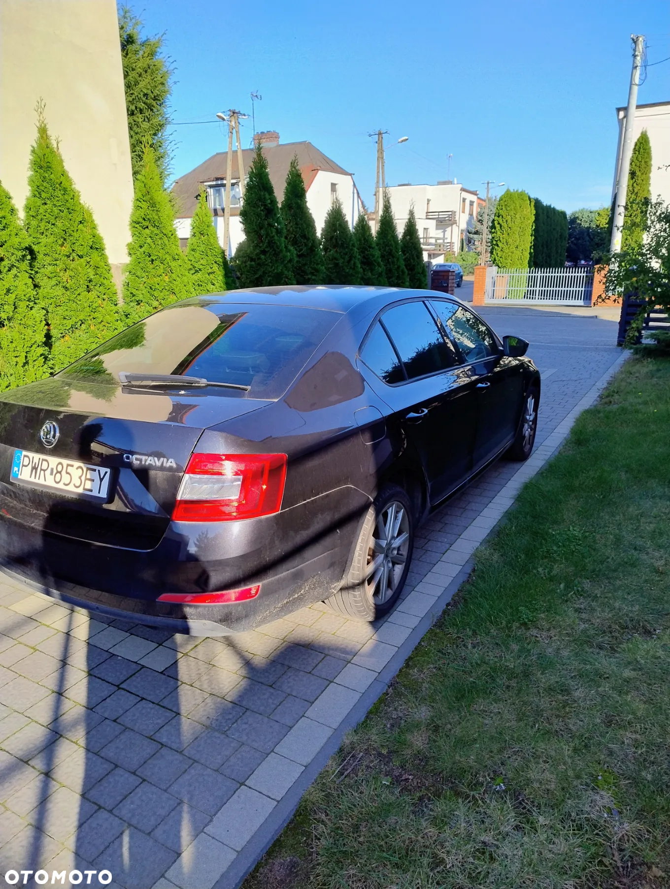 Skoda Octavia 1.4 TSI Joy - 7