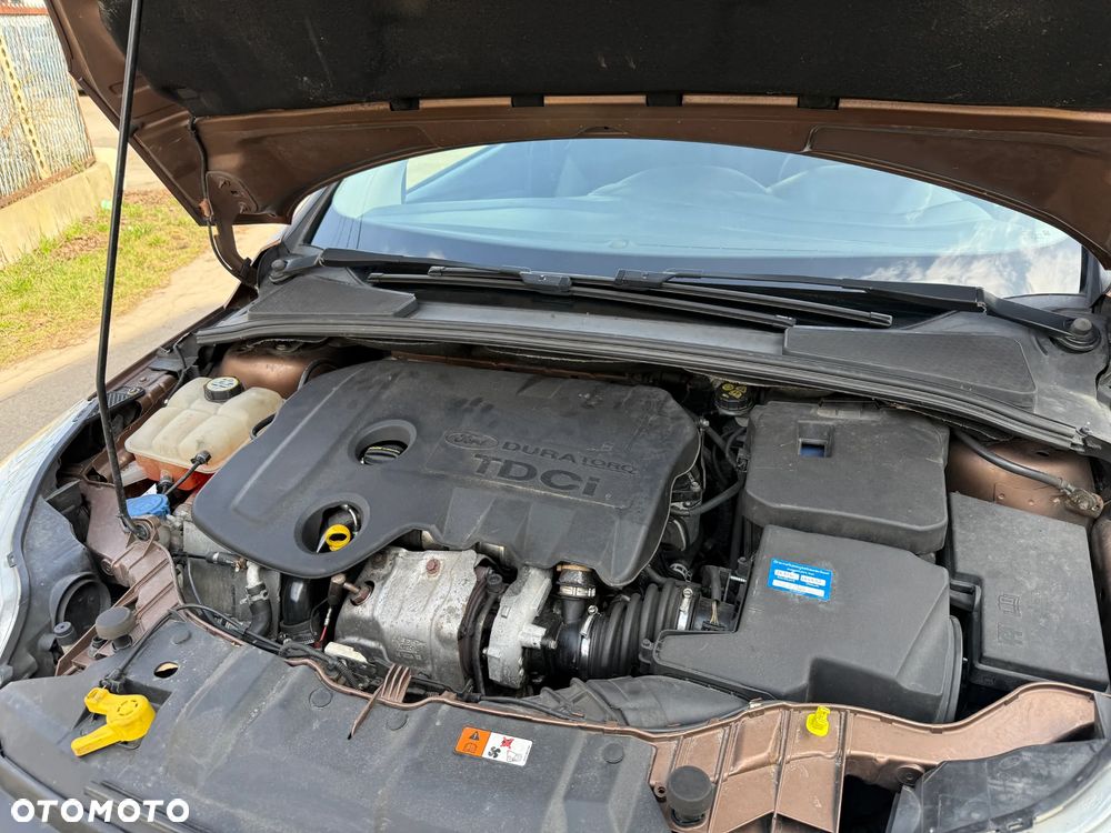 Ford Focus 1.6 TDCi ECOnetic 88g Start-Stopp-System Trend - 31