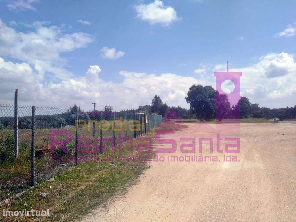 Terreno rústico - Alcoentre ( Lisboa) - Grande imagem: 2/3