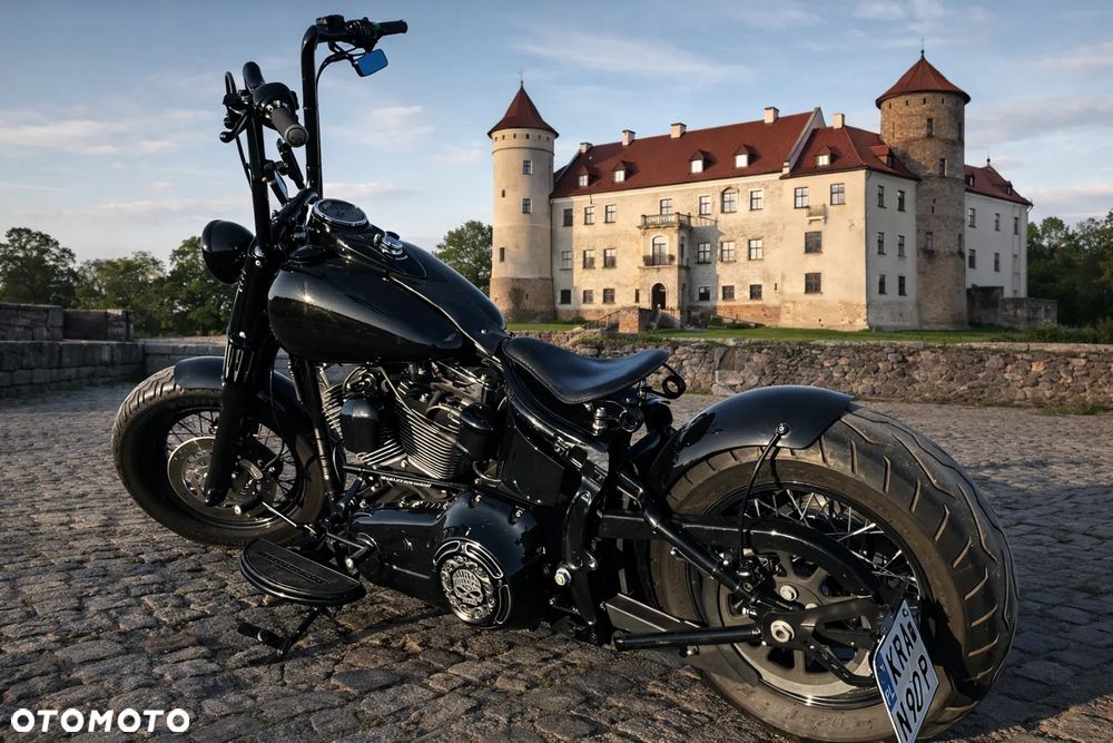 Harley-Davidson Softail Heritage Classic - 1