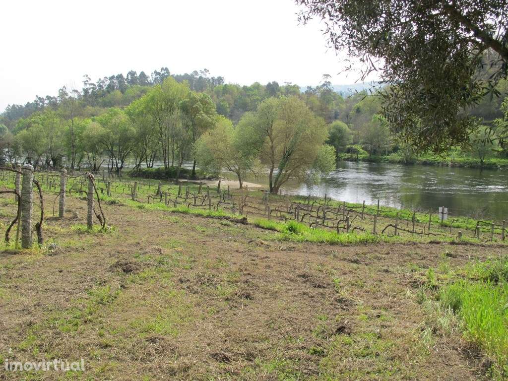 Terreno - Távora; Arcos de Valdevez - Grande imagem: 5/8