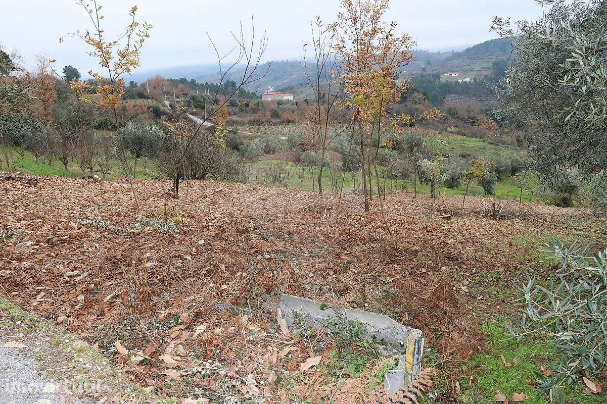 Terreno  para venda - Grande imagem: 3/4